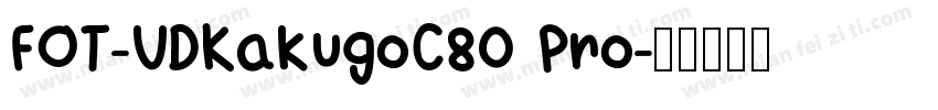 FOT-UDKakugoC80 Pro字体转换